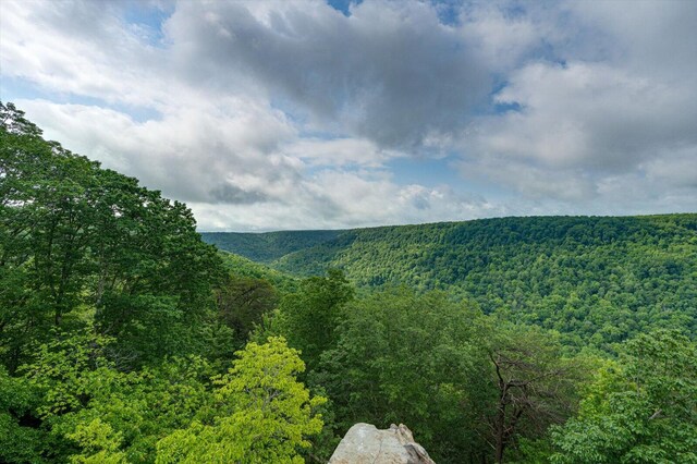 110 Falls Ln, Spencer, TN 38585