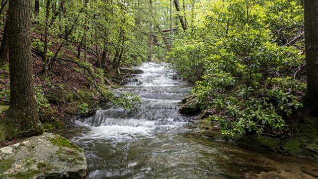 110 Falls Ln, Spencer, TN 38585