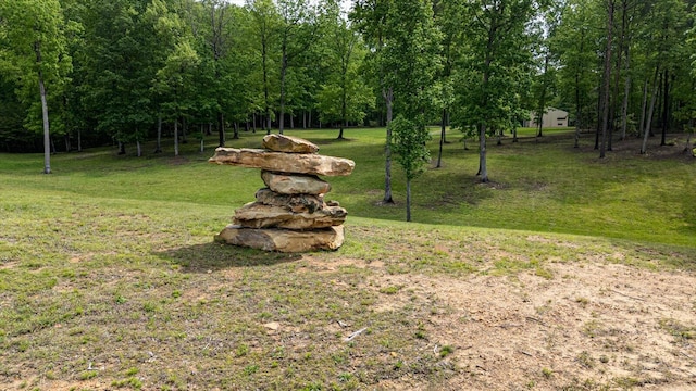 110 Falls Ln, Spencer, TN 38585