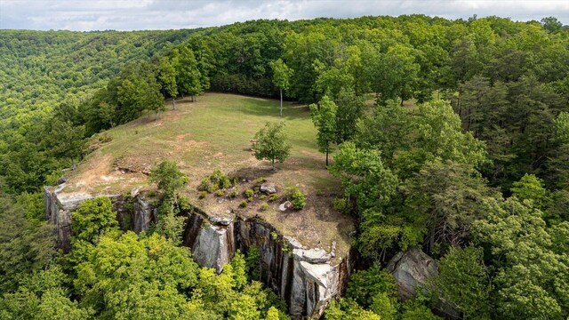 110 Falls Ln, Spencer, TN 38585