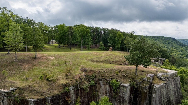 110 Falls Ln, Spencer, TN 38585