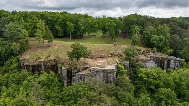 110 Falls Ln, Spencer, TN 38585