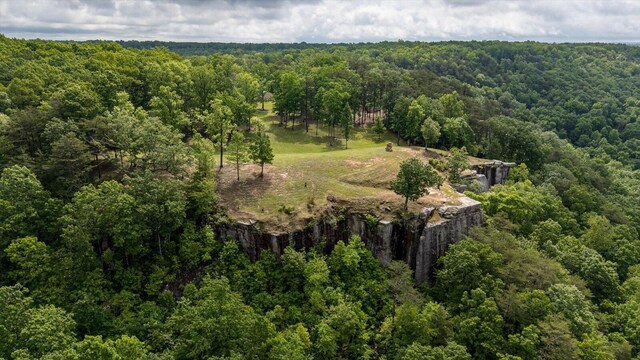 110 Falls Ln, Spencer, TN 38585