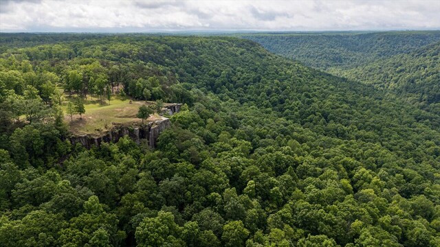 110 Falls Ln, Spencer, TN 38585