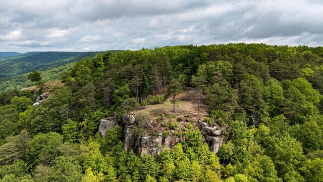 110 Falls Ln, Spencer, TN 38585