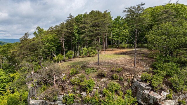110 Falls Ln, Spencer, TN 38585
