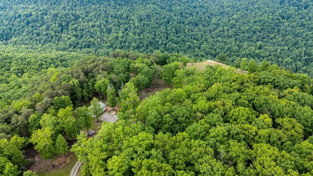 110 Falls Ln, Spencer, TN 38585