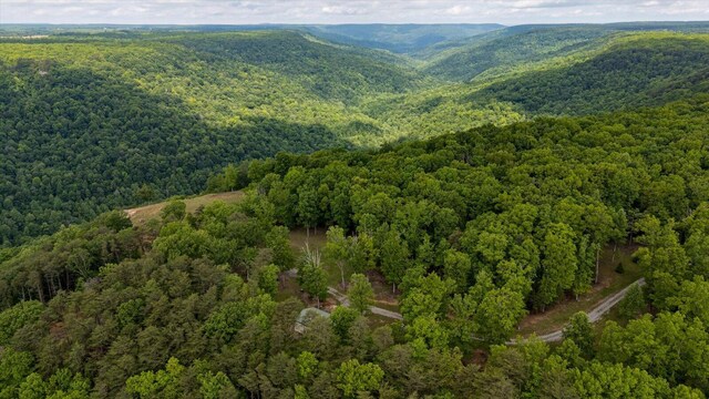 110 Falls Ln, Spencer, TN 38585