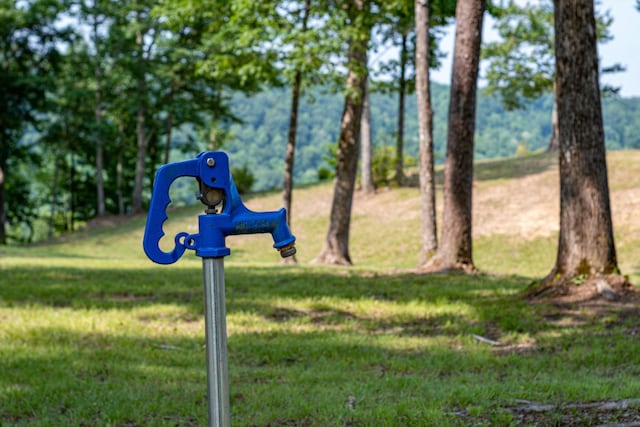 110 Falls Ln, Spencer, TN 38585