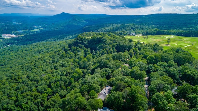 1613 Fairy Dell Trl, Lookout Mountain, GA 30750 - aerial view of a mountainous background, a heavily wooded area, and a local golf course
