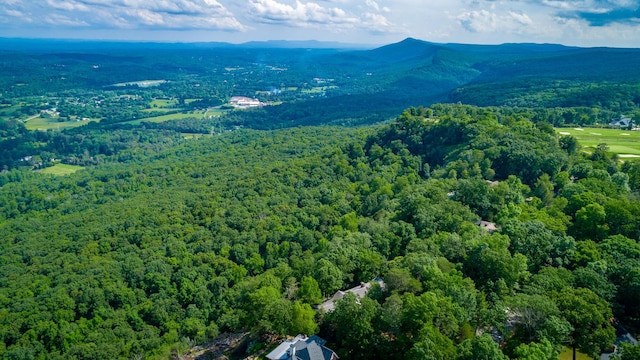 1613 Fairy Dell Trl, Lookout Mountain, GA 30750 - aerial view of a heavily wooded area and mountains