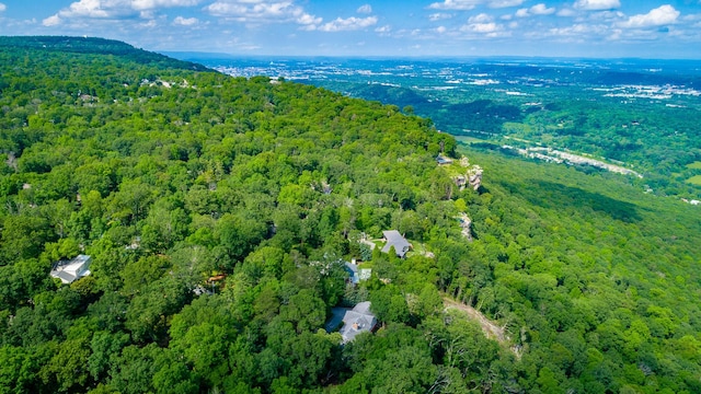 1613 Fairy Dell Trl, Lookout Mountain, GA 30750 - aerial overview of property's location featuring a forest