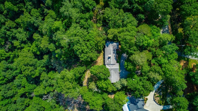 1613 Fairy Dell Trl, Lookout Mountain, GA 30750 - aerial view of property's location