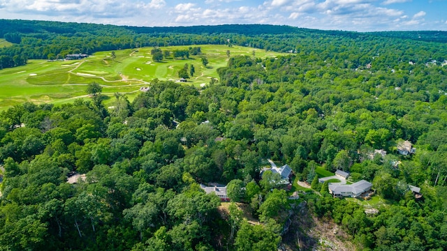 1613 Fairy Dell Trl, Lookout Mountain, GA 30750 - view of property location with a heavily wooded area and a golf course