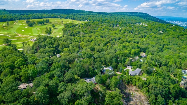 1613 Fairy Dell Trl, Lookout Mountain, GA 30750 - aerial overview of property's location with a heavily wooded area and a golf club