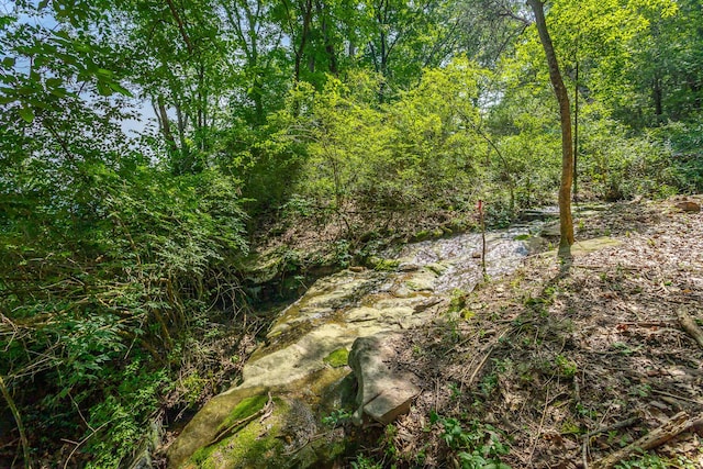 1613 Fairy Dell Trl, Lookout Mountain, GA 30750 - view of wooded area