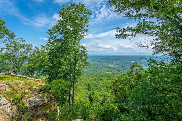 1613 Fairy Dell Trl, Lookout Mountain, GA 30750 - water view with a forest