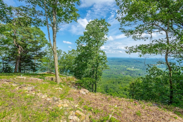 1613 Fairy Dell Trl, Lookout Mountain, GA 30750 - view of woods
