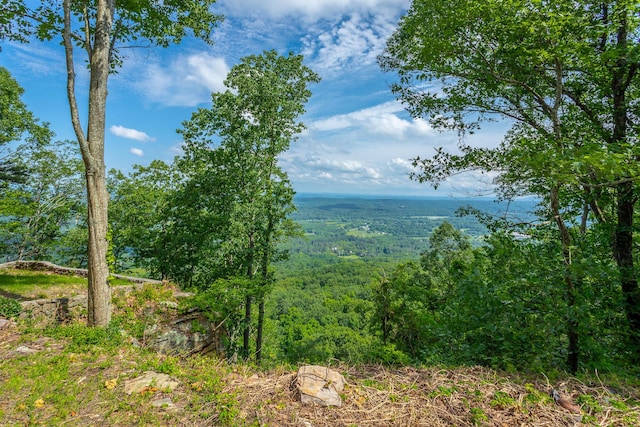 1613 Fairy Dell Trl, Lookout Mountain, GA 30750 - water view featuring a forest
