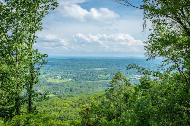 1613 Fairy Dell Trl, Lookout Mountain, GA 30750 - water view with a forest