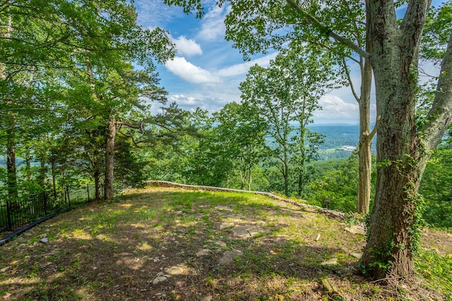 1613 Fairy Dell Trl, Lookout Mountain, GA 30750 - view of yard featuring a forest view