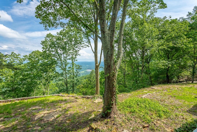 1613 Fairy Dell Trl, Lookout Mountain, GA 30750 - view of wooded area