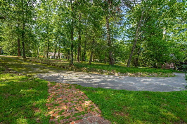1613 Fairy Dell Trl, Lookout Mountain, GA 30750 - view of asphalt driveway