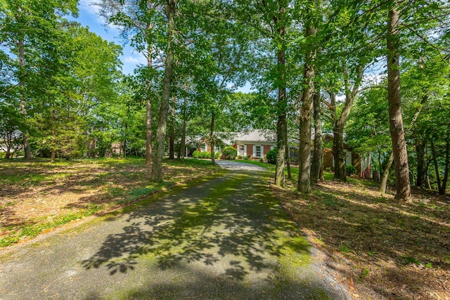 1613 Fairy Dell Trl, Lookout Mountain, GA 30750 - view of front of house featuring driveway