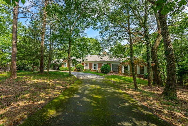 1613 Fairy Dell Trl, Lookout Mountain, GA 30750 - ranch-style house featuring driveway