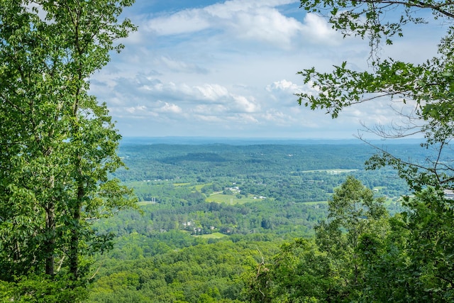 1613 Fairy Dell Trl, Lookout Mountain, GA 30750 - view of mountain backdrop featuring a heavily wooded area