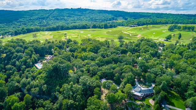 1613 Fairy Dell Trl, Lookout Mountain, GA 30750 - aerial view of property's location featuring a forest and a local golf course