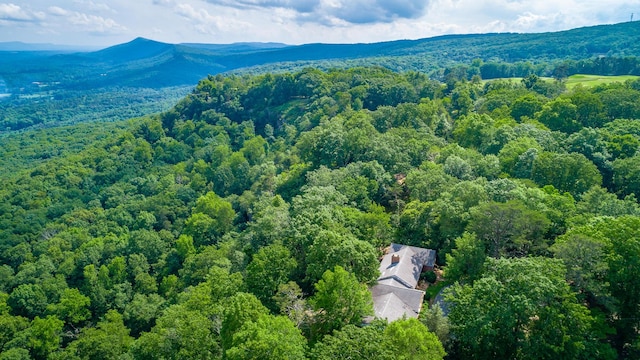 1613 Fairy Dell Trl, Lookout Mountain, GA 30750 - aerial view of a heavily wooded area and a mountainous background