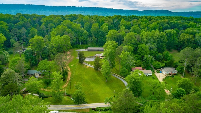 5873 Old Dayton Pike, Chattanooga, TN 37415 - bird's eye view of a forest
