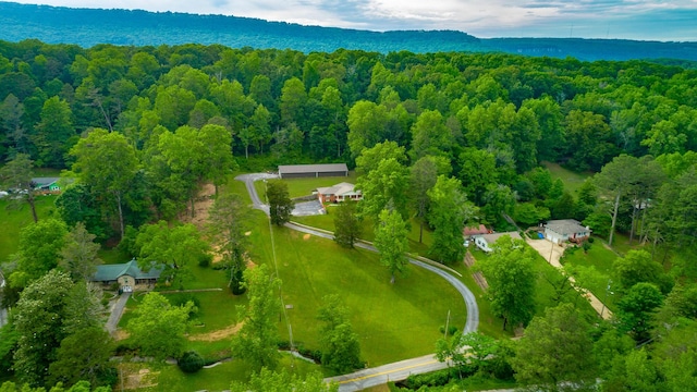 5873 Old Dayton Pike, Chattanooga, TN 37415 - drone / aerial view of a forest