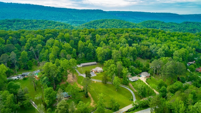 5873 Old Dayton Pike, Chattanooga, TN 37415 - drone / aerial view of a heavily wooded area
