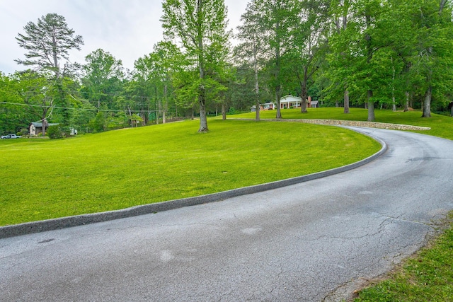 5873 Old Dayton Pike, Chattanooga, TN 37415 - view of property's community featuring a yard and curved driveway