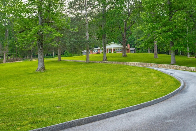 5873 Old Dayton Pike, Chattanooga, TN 37415 - view of community featuring a lawn and view of scattered trees