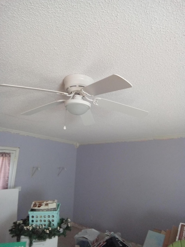 287 S Oak St, Whitwell, TN 37397 - photo 18