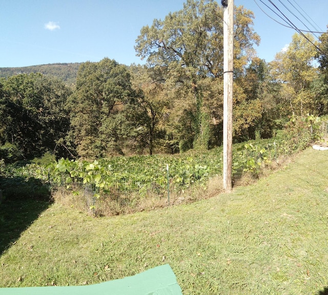 287 S Oak St, Whitwell, TN 37397 - photo 7