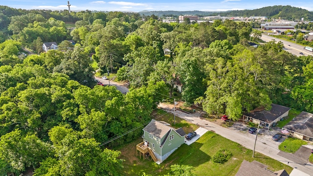 6219 Walden Ave, Chattanooga, TN 37421 - aerial view of a heavily wooded area