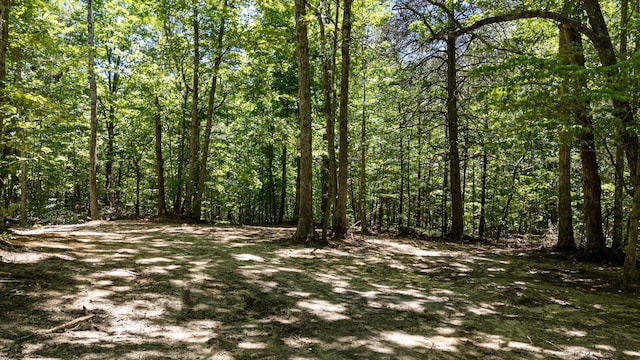 2803 US-127, Signal Mountain, TN 37377