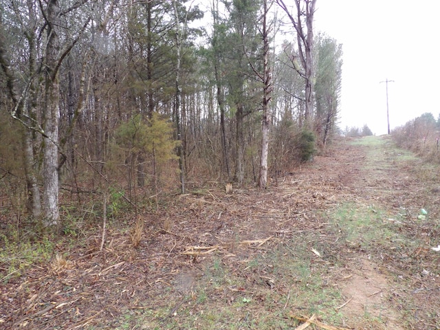 028 Rockfort Rd, Pikeville, TN 37367 - photo 3