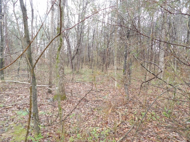 028 Rockfort Rd, Pikeville, TN 37367 - photo 4