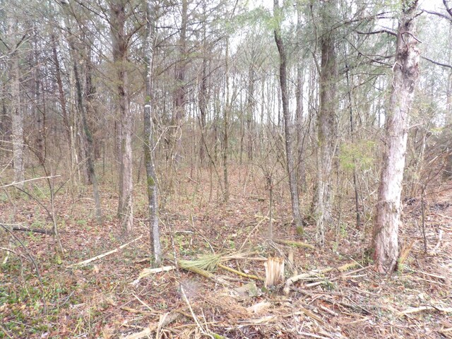028 Rockfort Rd, Pikeville, TN 37367 - photo 5