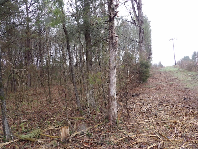 028 Rockfort Rd, Pikeville, TN 37367 - photo 6