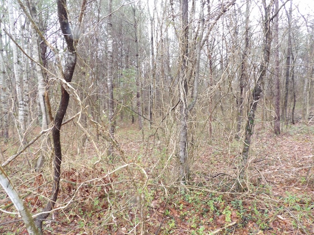 028 Rockfort Rd, Pikeville, TN 37367 - photo 9