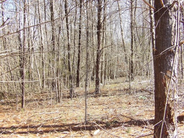 028 Rockfort Rd, Pikeville, TN 37367 - photo 12