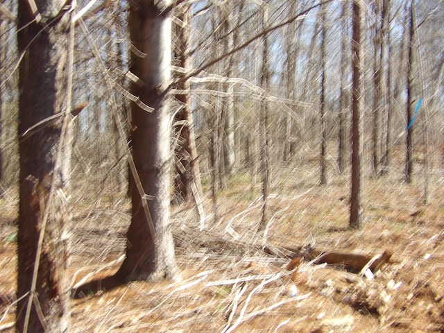 028 Rockfort Rd, Pikeville, TN 37367 - photo 13