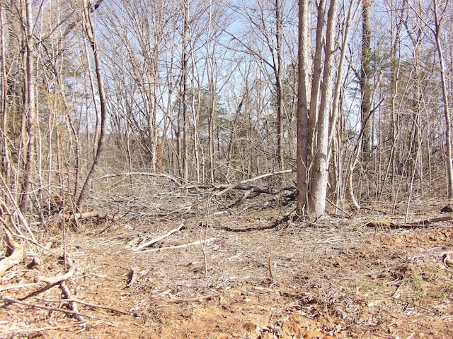 028 Rockfort Rd, Pikeville, TN 37367 - photo 14