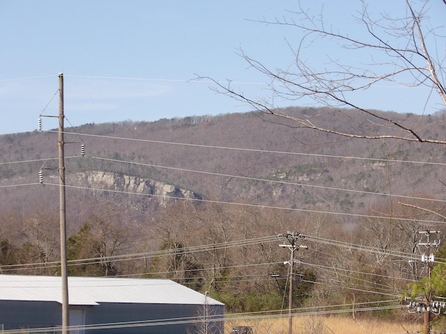 028 Rockfort Rd, Pikeville, TN 37367 - photo 1